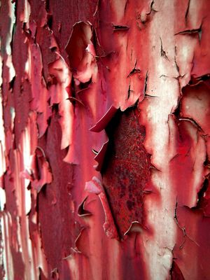 >>>((( manche wunden ...........