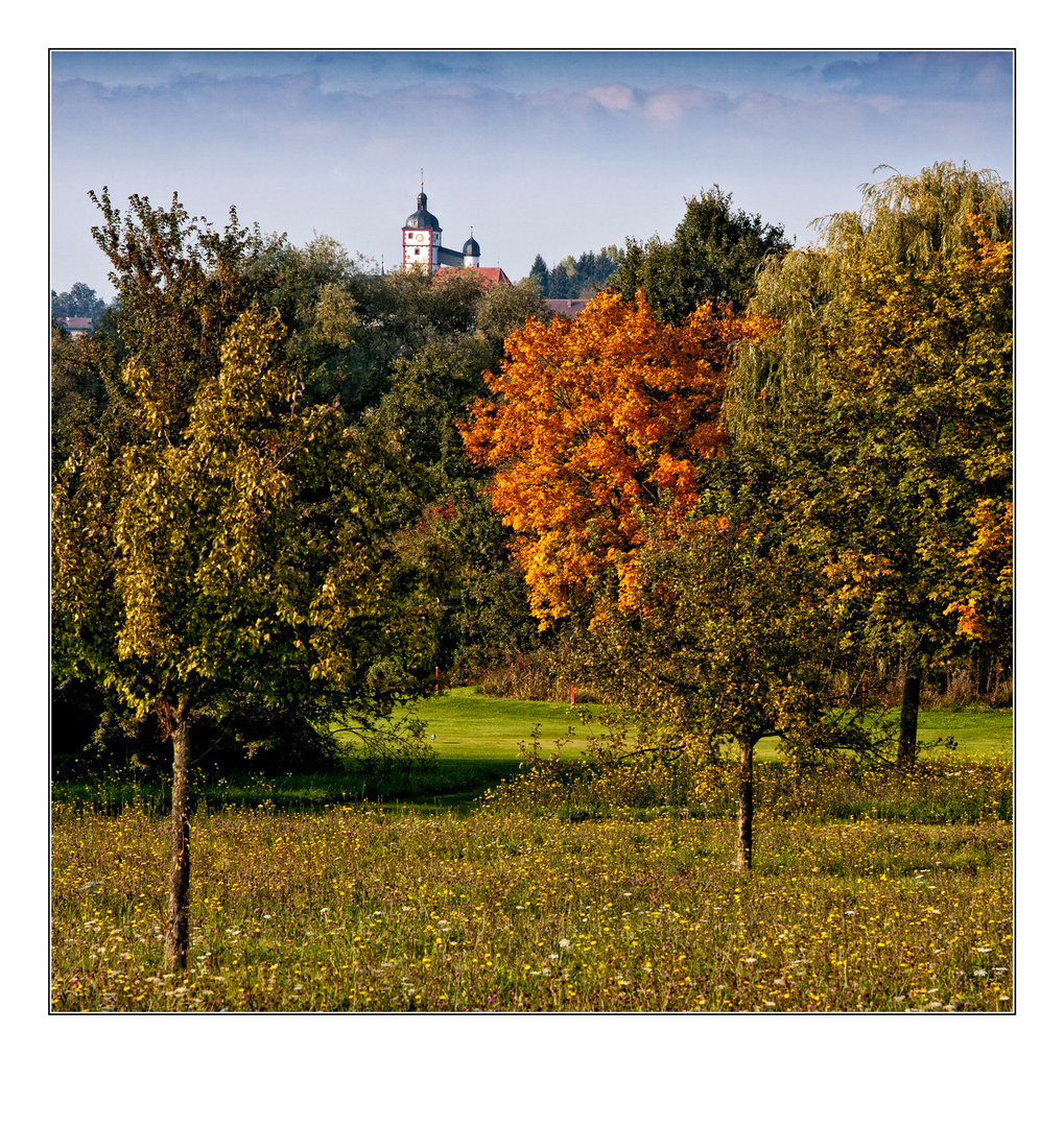 mancher Baum kann´s kaum erwarten