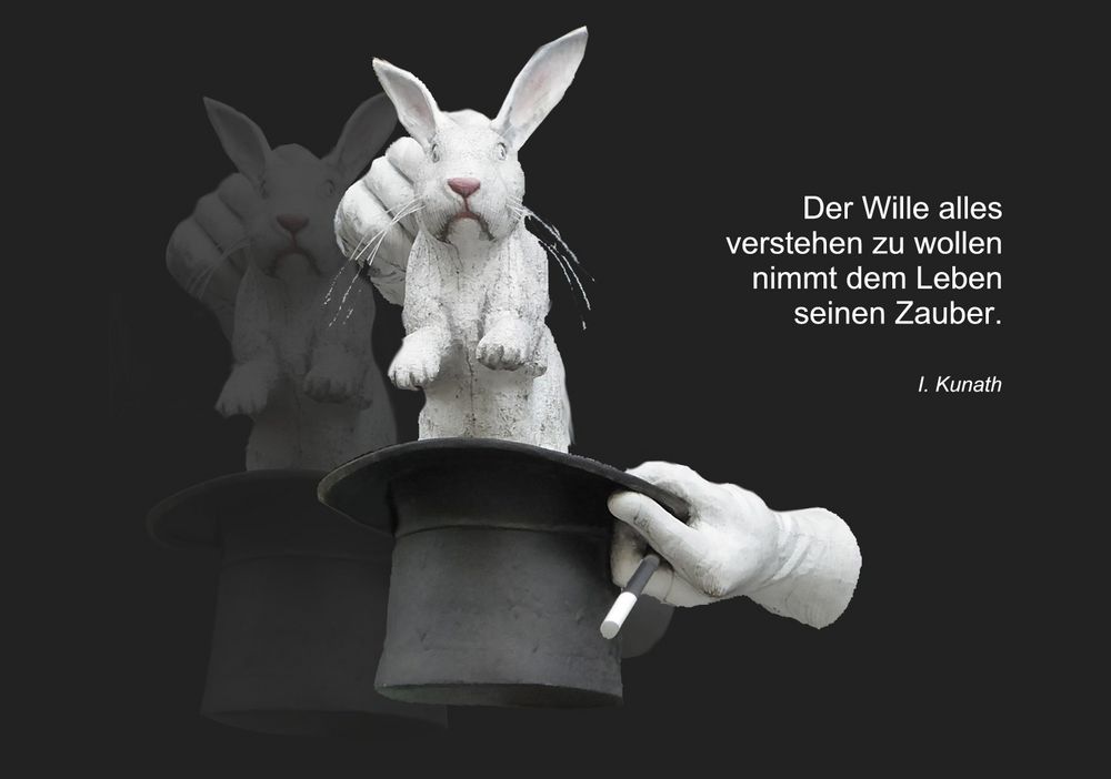 Download Muss man nicht alles verstehen Free HD