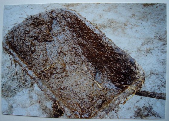 >>>{{{manchma..........................