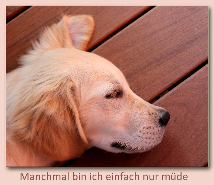 Manchmal bin ich einfach nur müde