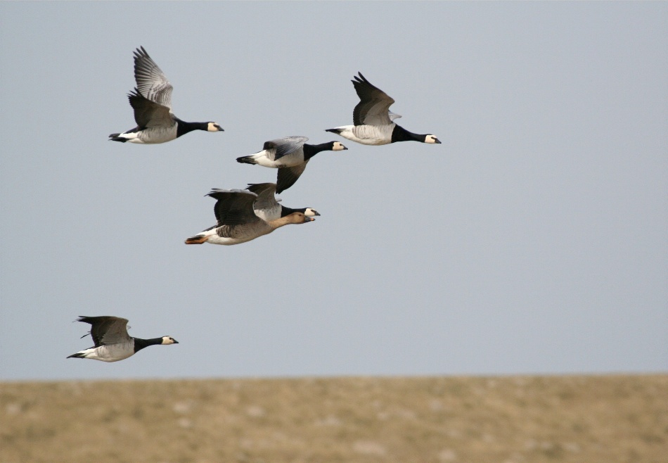 Manchmal darf die Nanny mit ins WE fliegen