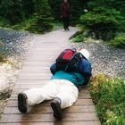 Manchmal erntet man nur mitleidige Blicke als einsatzbereiter Naturfotograf.