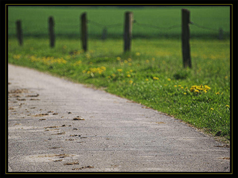 Manchmal erscheint der Weg versperrt ...