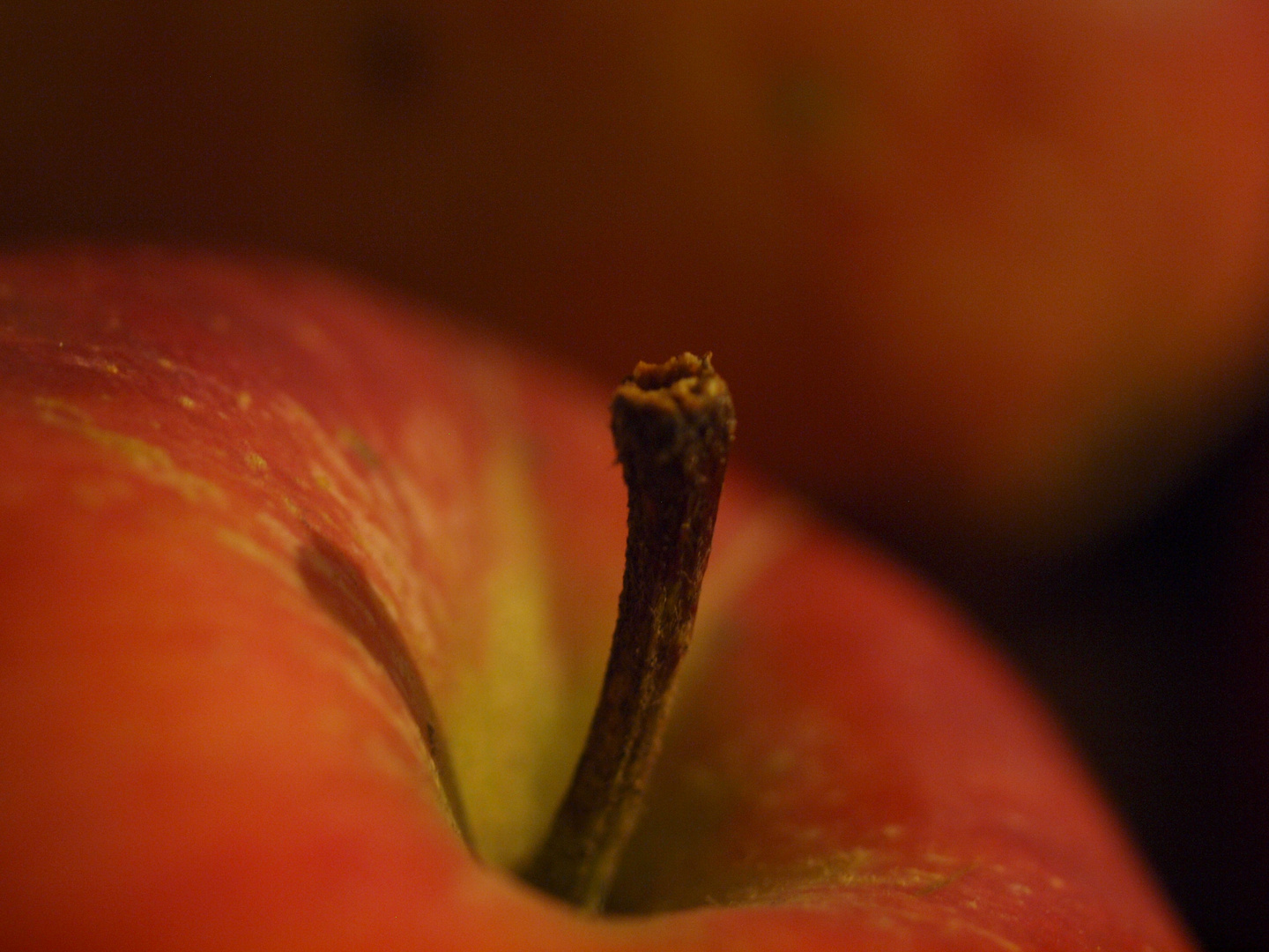 manchmal fällt der Apfel weit vom Stamm...