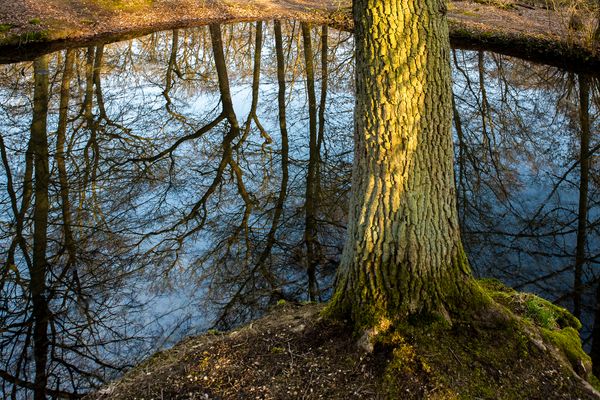 "Manchmal finden wir ... 