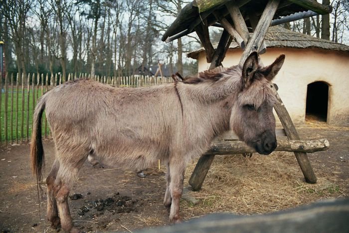 Manchmal fühle ich mich ihm verbunden !!!