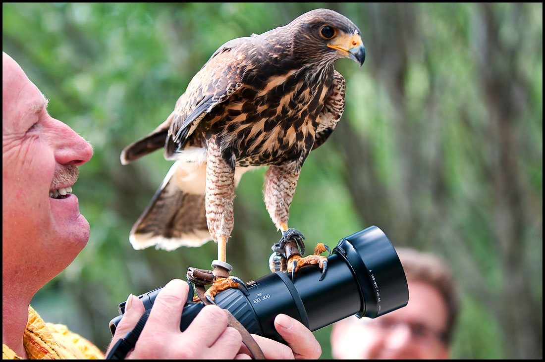 Manchmal ..hat man.. Eben einen Vogel