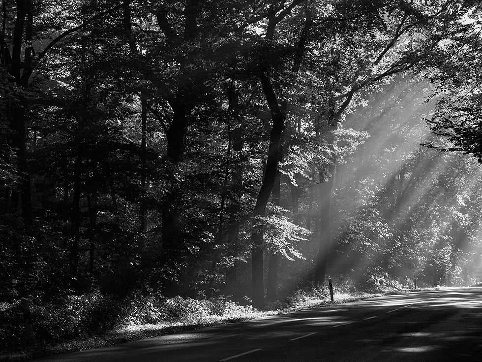 Manchmal hat man Glück, das die Sonne mitspielt