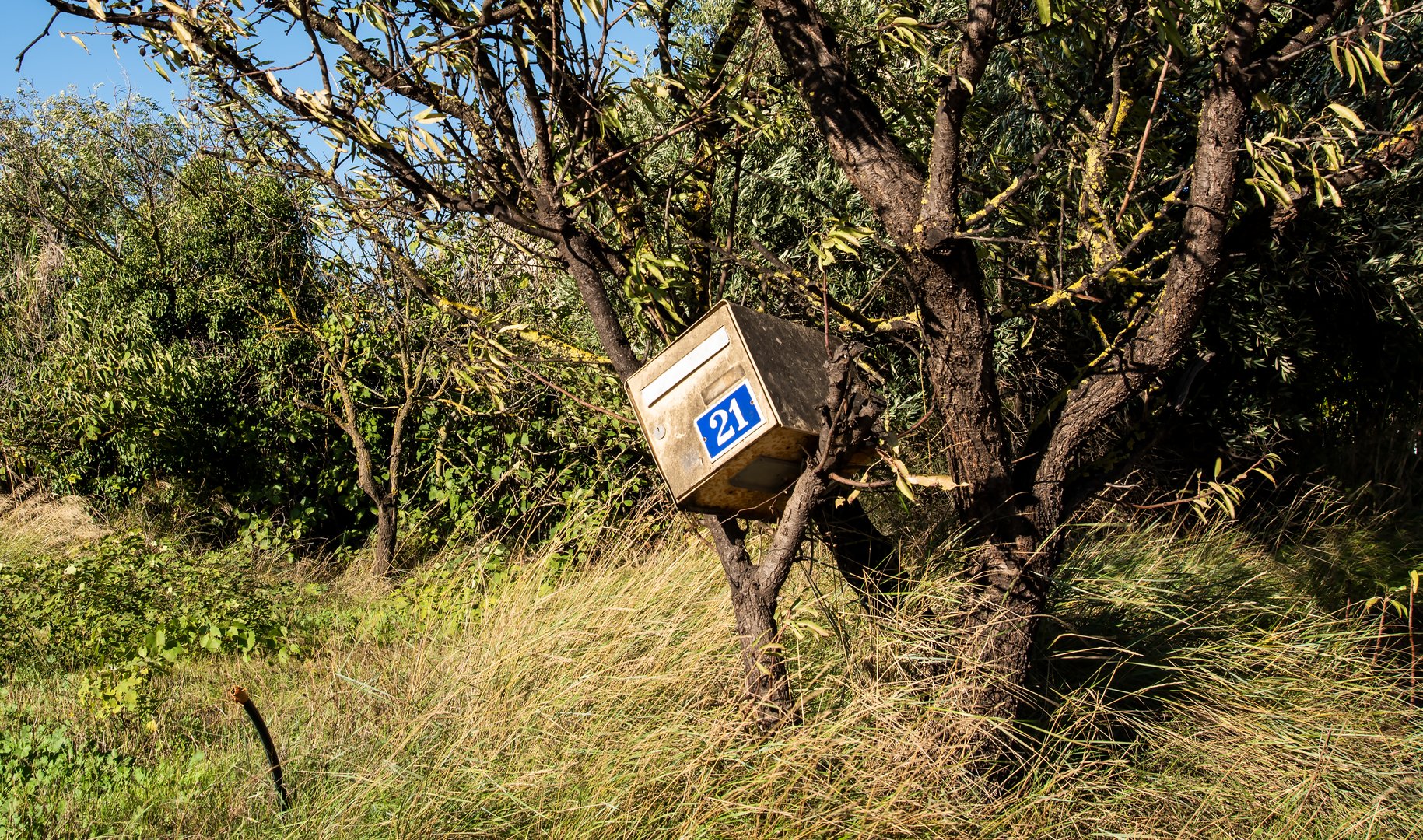 Manchmal liegt die Post verdammt schief