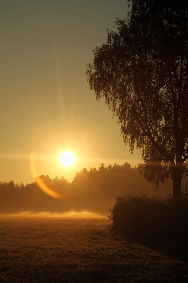 manchmal lohnt es sich früh aufzustehen.