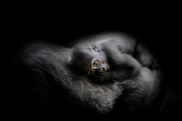 Manchmal möchte man...