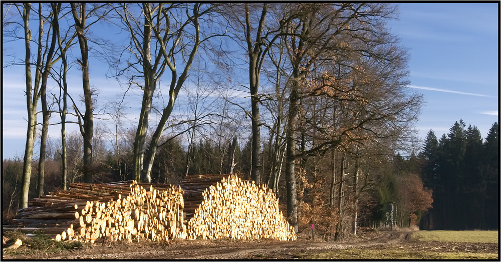 ...manchmal muß man eben einen "Schnitt" machen, bei soviel Holz vor der Hütte....