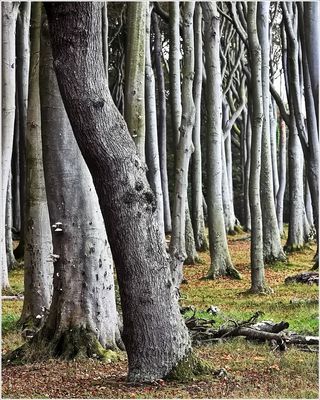Manchmal muss man einfach vom geraden Weg abweichen