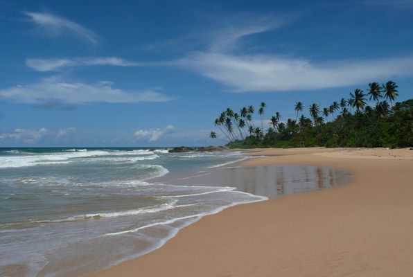 Manchmal muss man einfach weg. Egal wohin - Hauptsache ans Meer