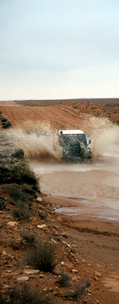 manchmal regnet es auch in der Sahara...