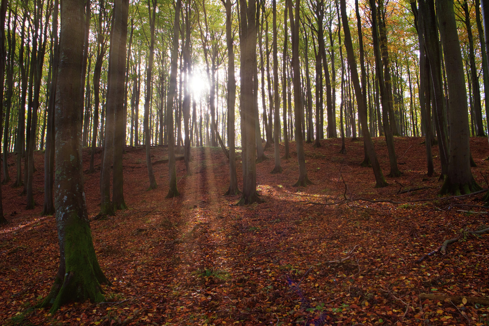 Manchmal schafft die Sonne es noch ...