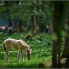 « Manchmal scheint die Welt noch in Ordnung »