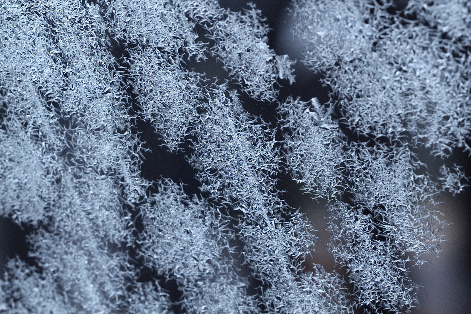 Manchmal sehen Eisblumen wie räumliche Gebilde aus