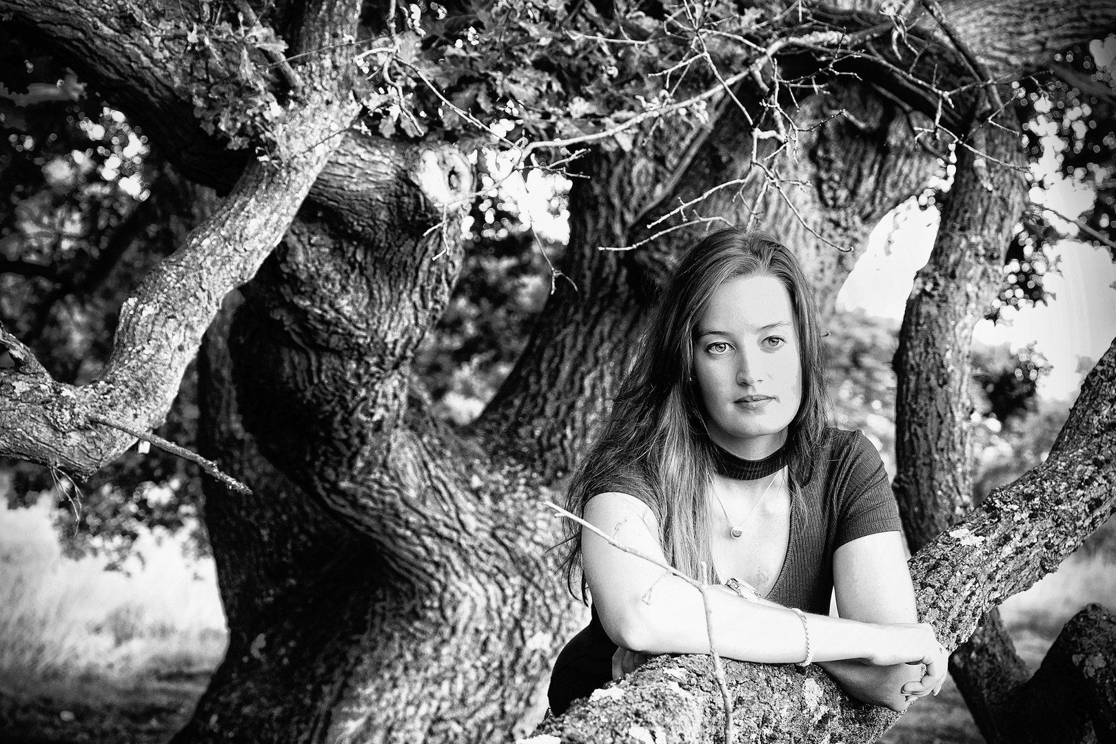 Manchmal sieht man den Wald vor