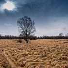 manchmal sind sie auch zugewachsen, aber mit etwas Übung