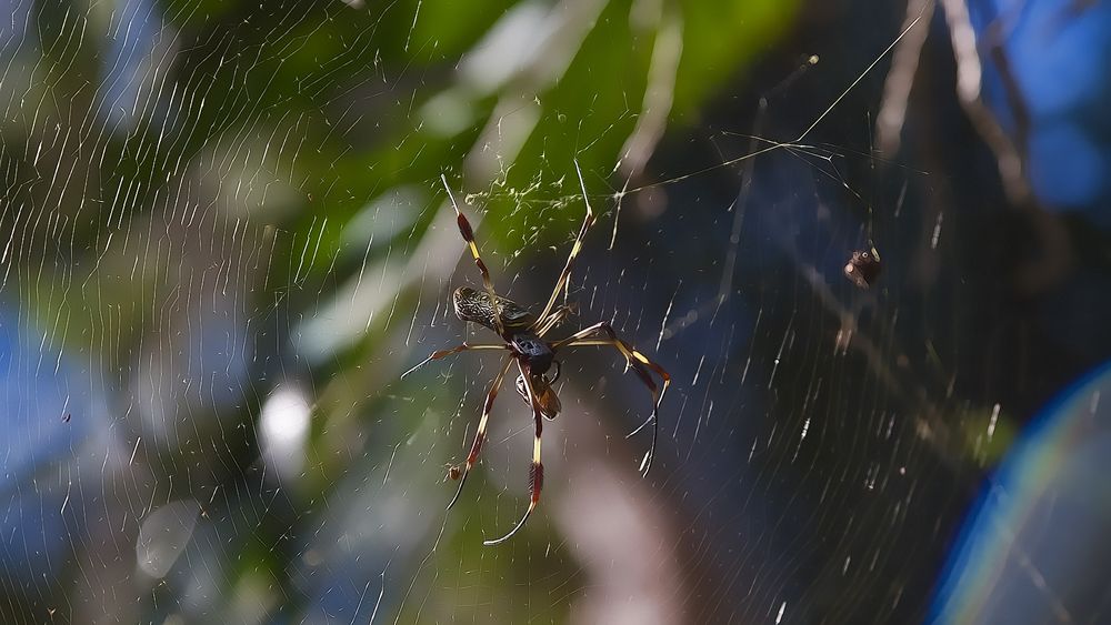 manchmal spinne ich :-)