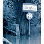 manchmal stand uns das Wasser bis zum Hals ! ( Hochwasser 1954 )