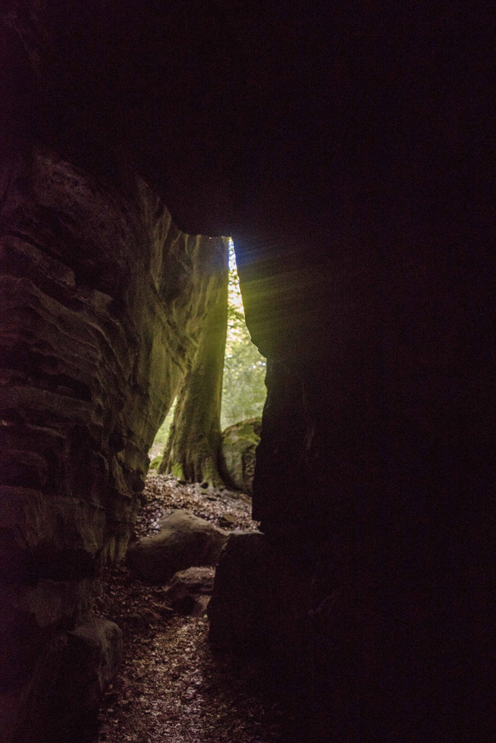 Manchmal sucht man das Licht - Unterwegs auf dem Muller trail