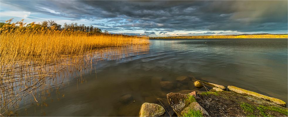 … Manchmal tut es auch das Abendlicht …