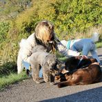 Manchmal wäre es absolut schön ein "Hund" zu sein