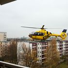 Manchmal, wenn man aus dem Fenster schaut, kann man die Engel fliegen sehen ...