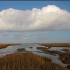 Mandø | tidal marshes |