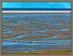 Mandø Wattenmeer