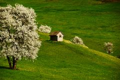 Mandach, Häusle im Grünen