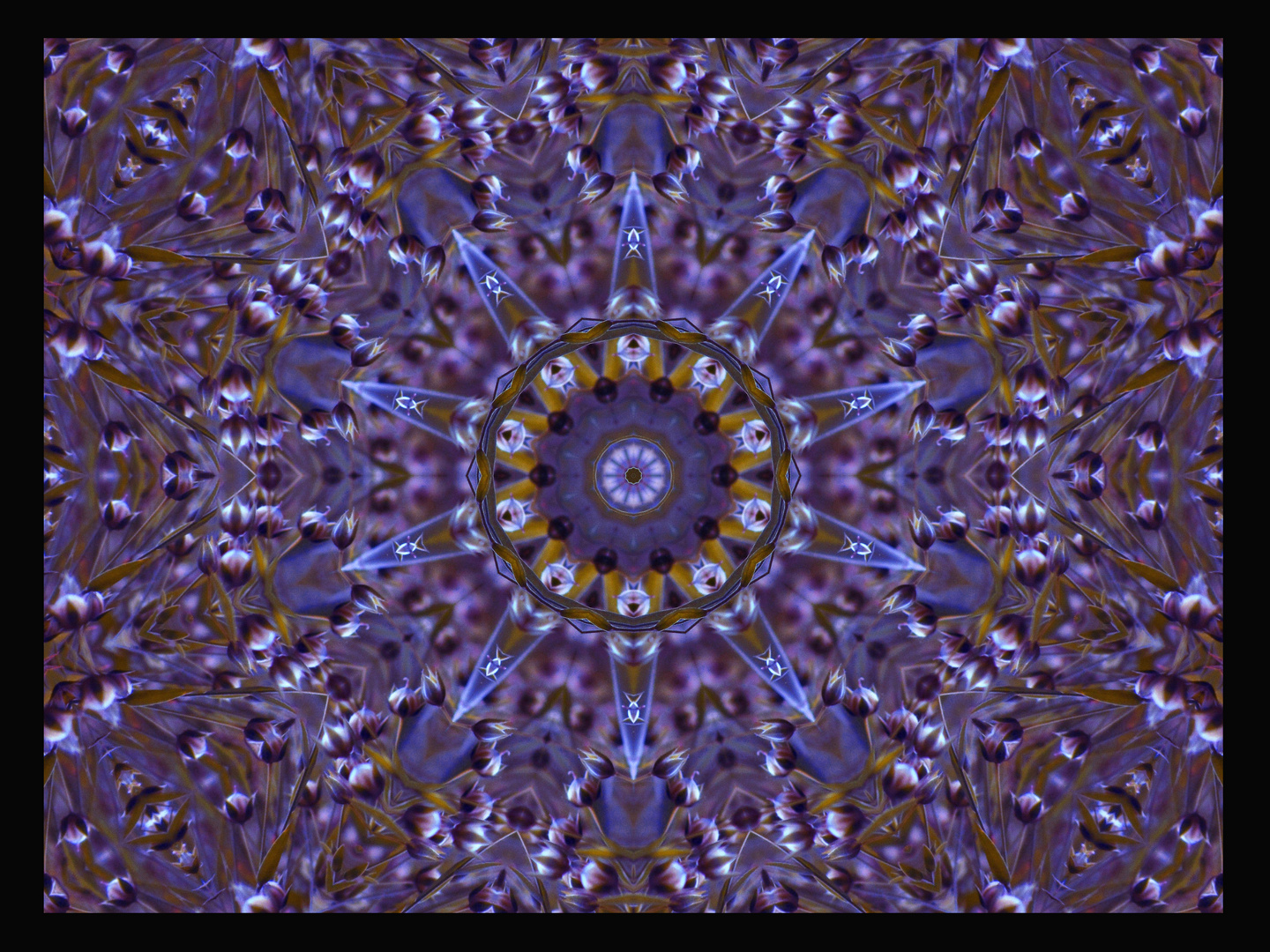 mandala 3