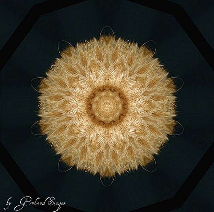 mandala