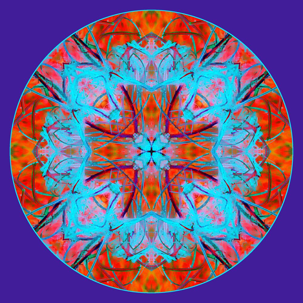 Mandala (Herbststrauch)