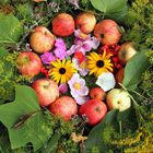 Mandala mit Blüten und Äpfeln