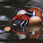 Mandarin