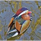 Mandarin-Ente