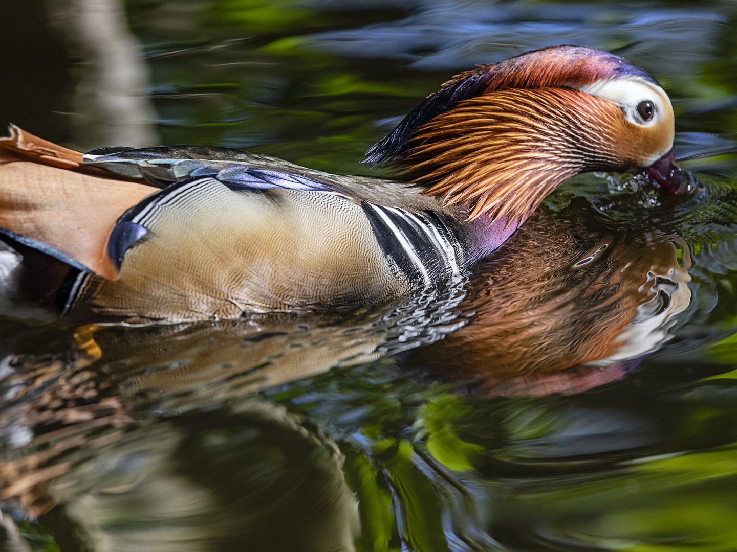 Mandarin-Spiegel