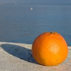 Mandarine au bord de la mer