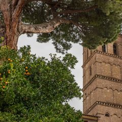 Mandarinen in Trastevere - Rom