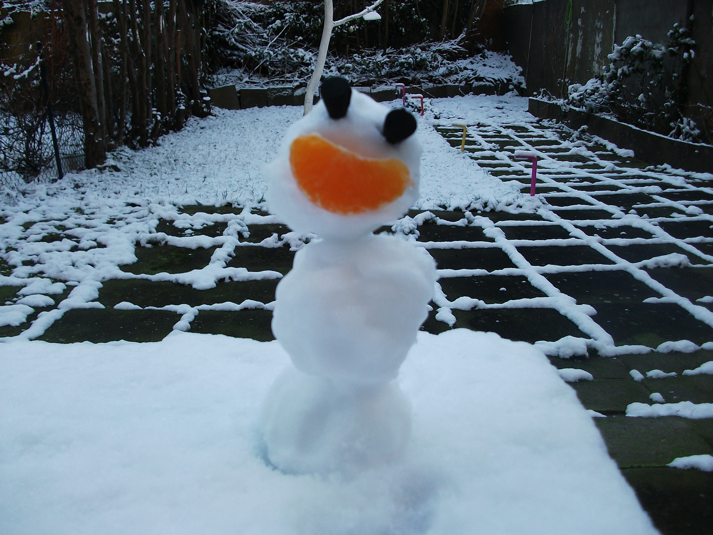 Mandarinen Schneemann im Garten ...