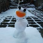 Mandarinen Schneemann im Garten ...