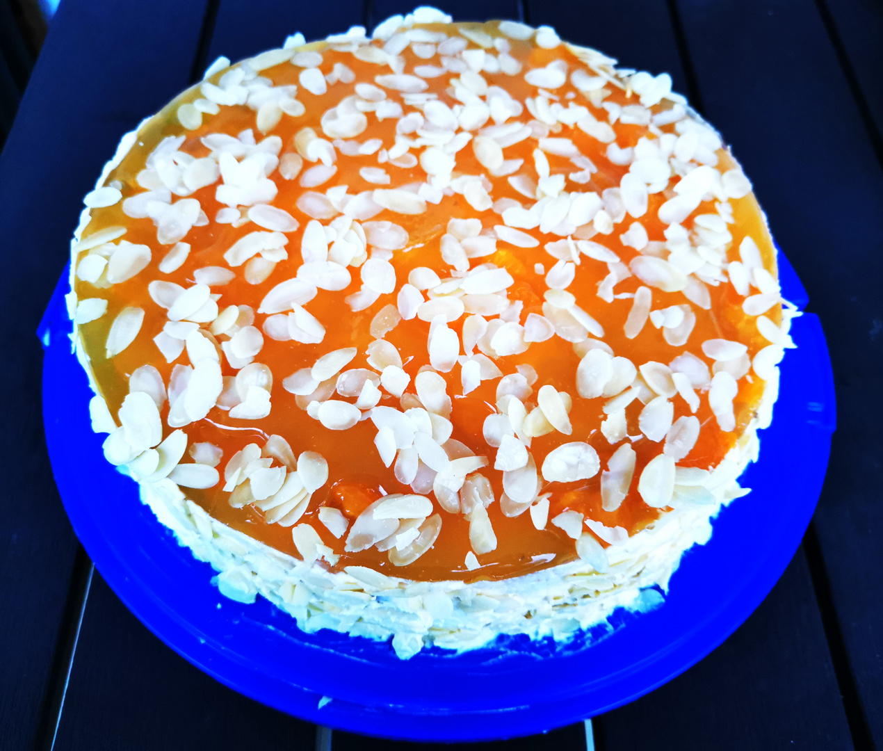 Mandarinen-Torte