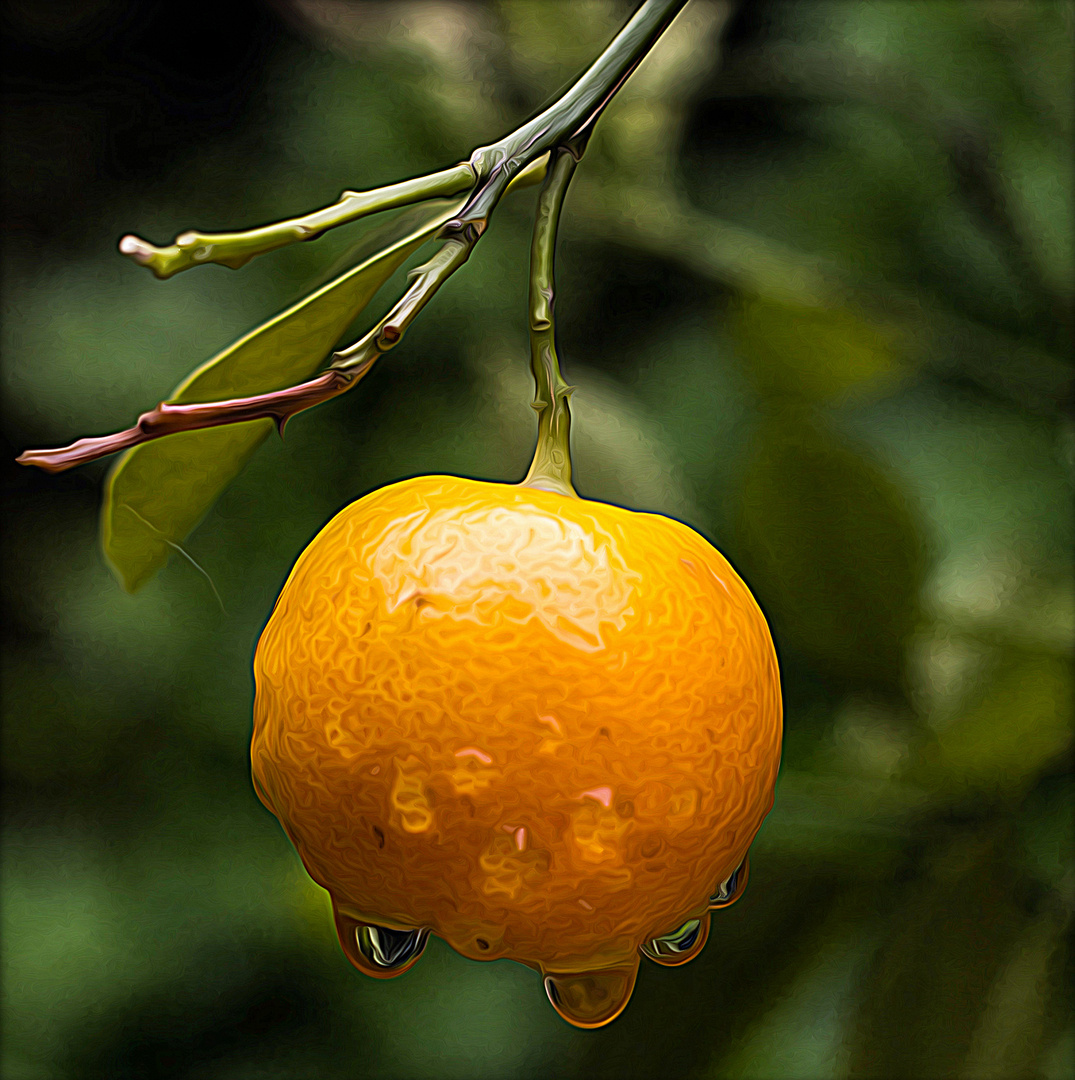 Mandarinensaft