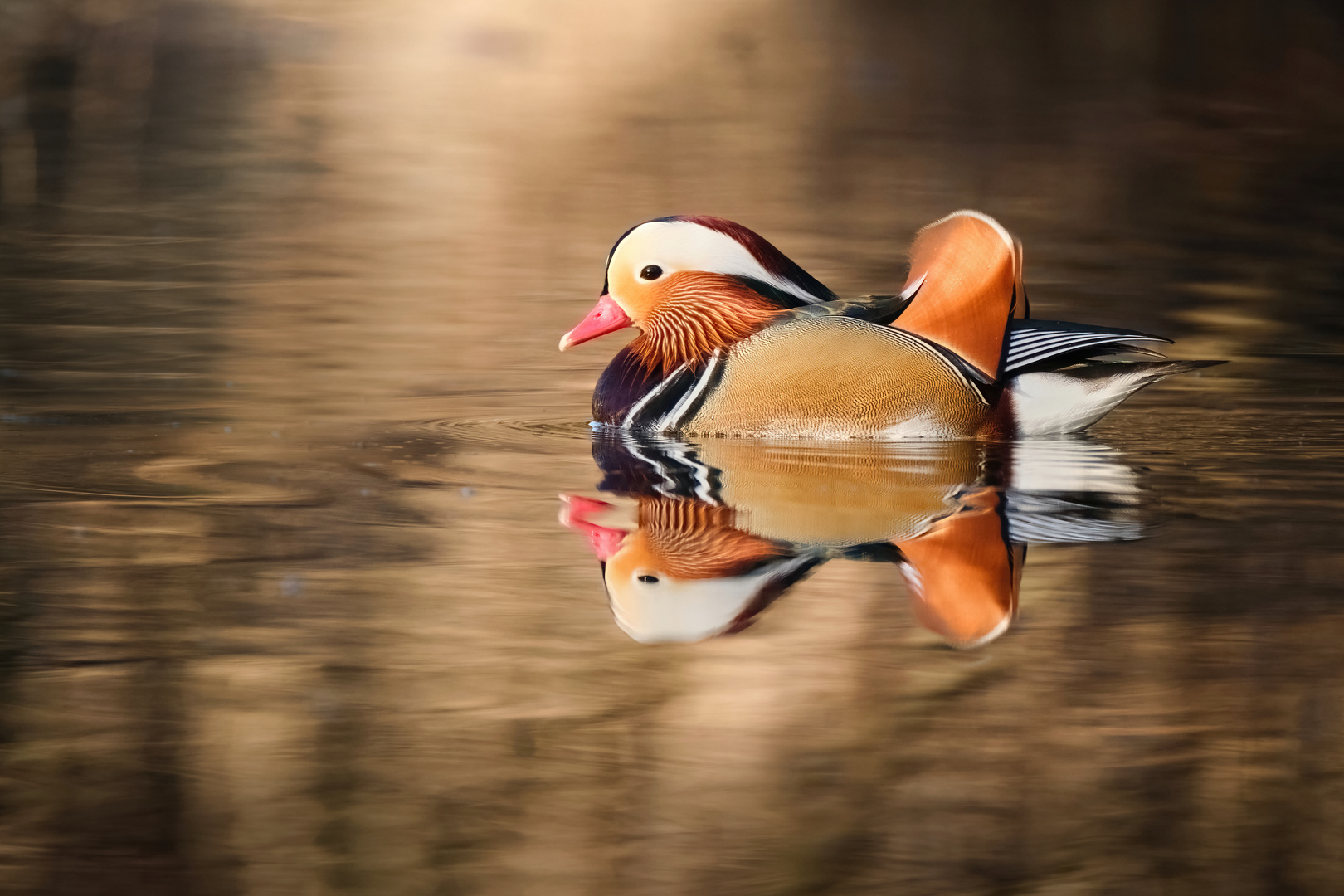 Mandarinente