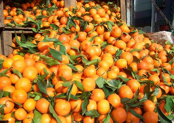 Mandarines