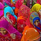 mandawa india Bridal  procession -  the eyes